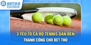 3 Yếu Tố Cá Độ Tennis Dẫn Đến Thành Công Cho Bet Thủ