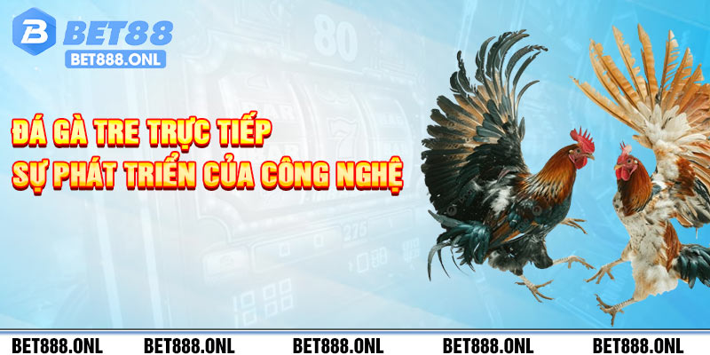 Đá gà tre trực tiếp – Sự phát triển của công nghệ