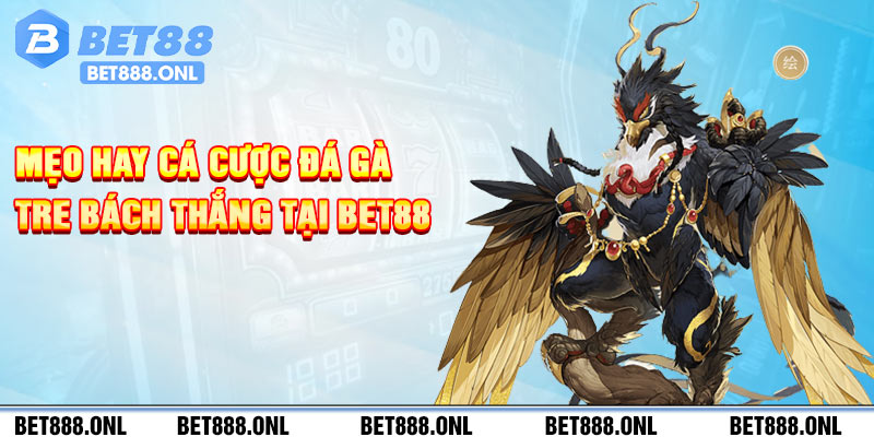 Mẹo hay cá cược đá gà tre bách thắng tại Bet88