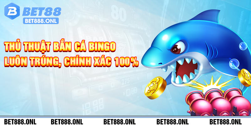 Thủ thuật bắn cá Bingo luôn trúng, chính xác 100%
