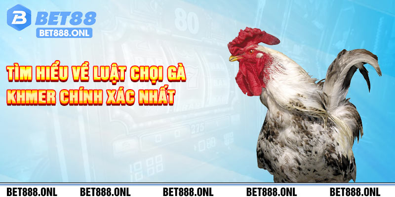 Tìm hiểu về luật chọi gà Khmer chính xác nhất 