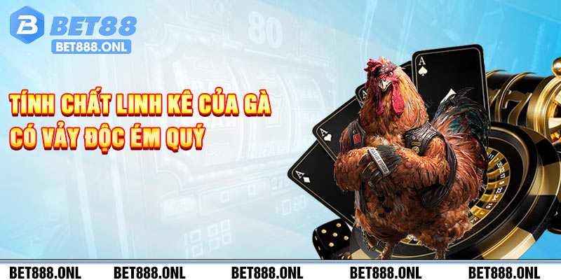 Tính chất linh kê của gà có vảy độc ém quý