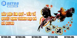 Vảy Độc Ém Quý - Yếu Tố Quyết Định Thành Bại Đá Gà Bet88