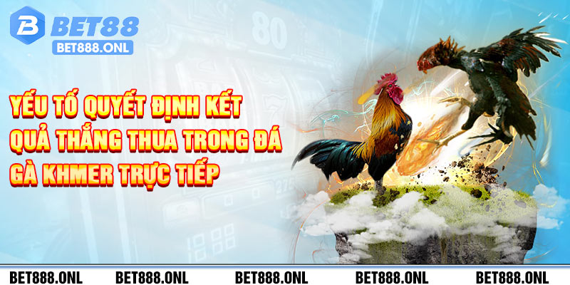 Yếu tố quyết định kết quả trong đá gà khmer trực tiếp