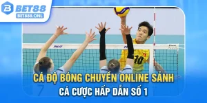 Cá Độ Bóng Chuyền Online - Sảnh Cá Cược Hấp Dẫn Số 1