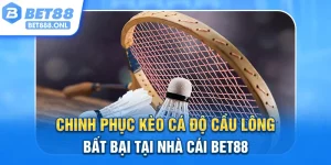 Chinh Phục Kèo Cá Độ Cầu Lông Bất Bại Tại Nhà Cái Bet88