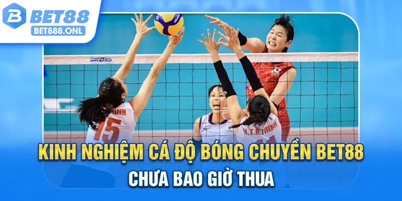 Kinh nghiệm cá độ bóng chuyền Bet88 chưa bao giờ thua