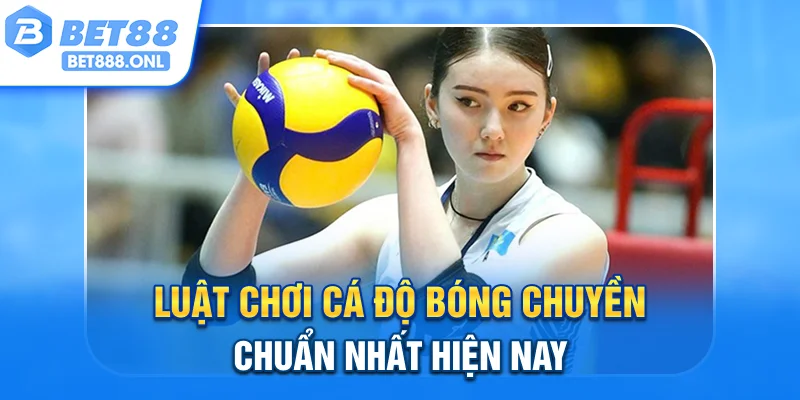 Luật chơi cá độ bóng chuyền chuẩn nhất hiện nay