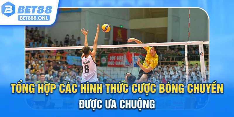 Tổng hợp các hình thức cược bóng chuyền được ưa chuộng