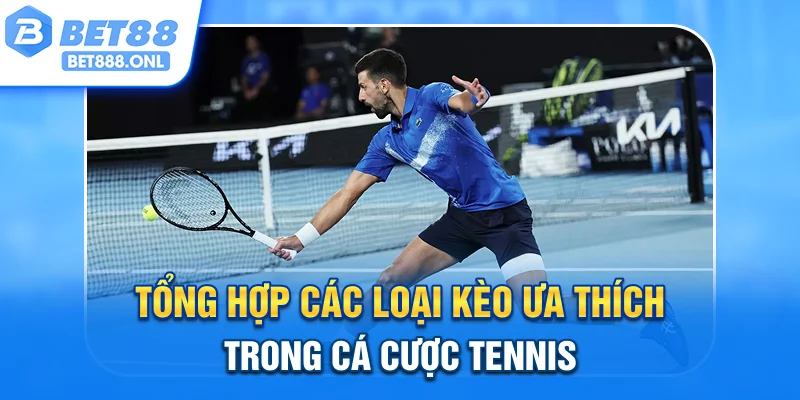 Tổng hợp các loại kèo ưa thích trong cá cược tennis